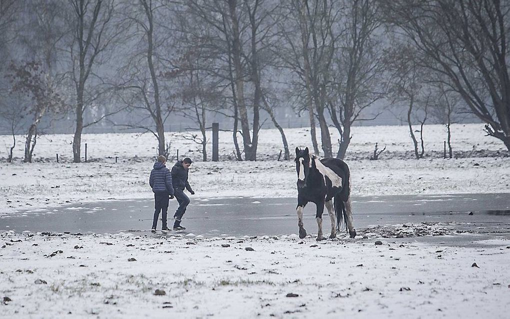 Jongens spelen op een bevroren weiland in Noordlaren. beeld ANP