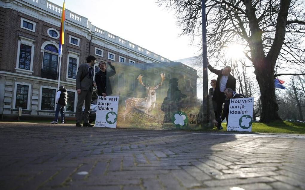 HAARLEM. Leden van de Partij voor de Dieren en sympathisanten protesteerden gisteren voor het provinciehuis van Noord-Holland in Haarlem tegen het afschieten van damherten in de Amsterdamse Waterleidingduinen. Leden van de Provinciale Staten vergaderden d