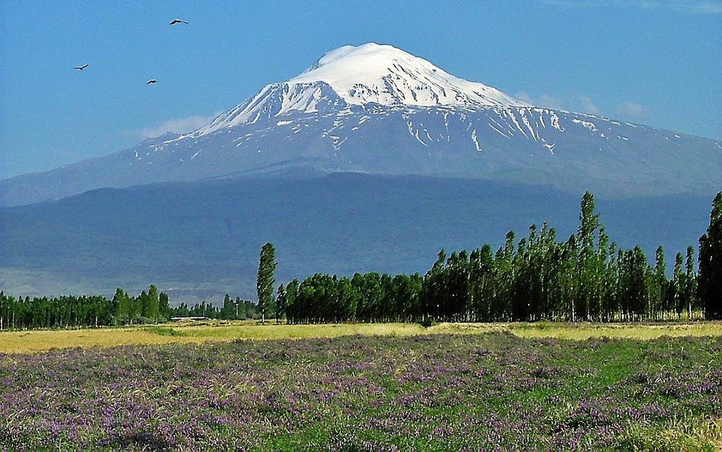 Ararat. beeld Wikimedia