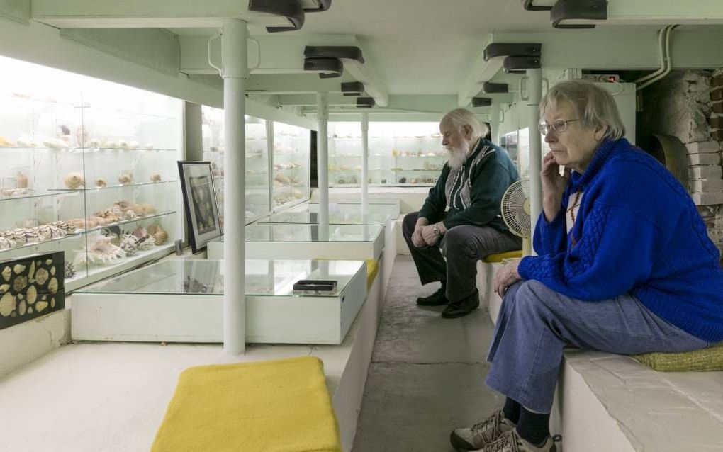 Piet en Jeannette Hessel in hun schelpenmuseum Schepsel Schelp in hun woning in Utrecht. “We helpen de schepping beheren. Met onze collectie willen we wijzen op de schoonheid en de variatie van wat God heeft gemaakt.” beeld Sjaak Verboom