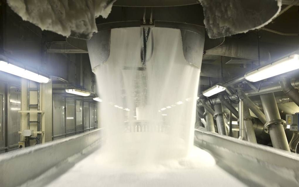 BREDA. Cosun is klaar voor afschaffing van de suikerquotering. Foto: transport van kristalsuiker in een van de fabrieken.  beeld Cosun