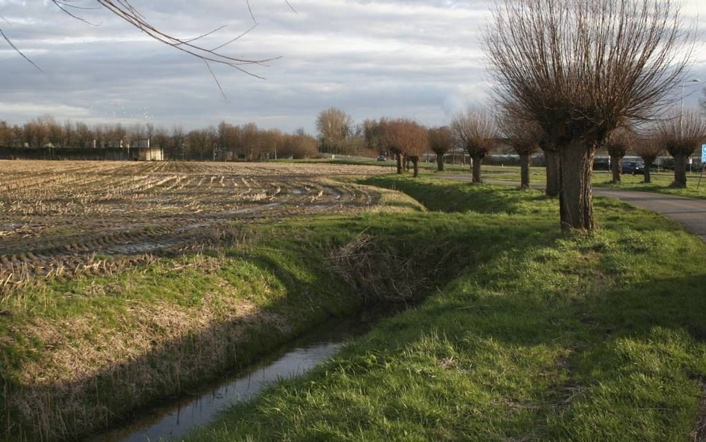 Op de grens van Haaften en Tuil komt mogelijk een mestvergister. Omwonenden maken bezwaar. beeld André Bijl