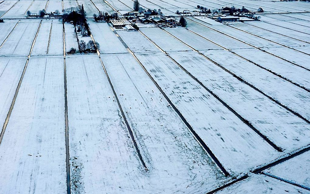 Veel polders in het Groene Hart worden ”bedreigd" met bebouwing. beeld ANP