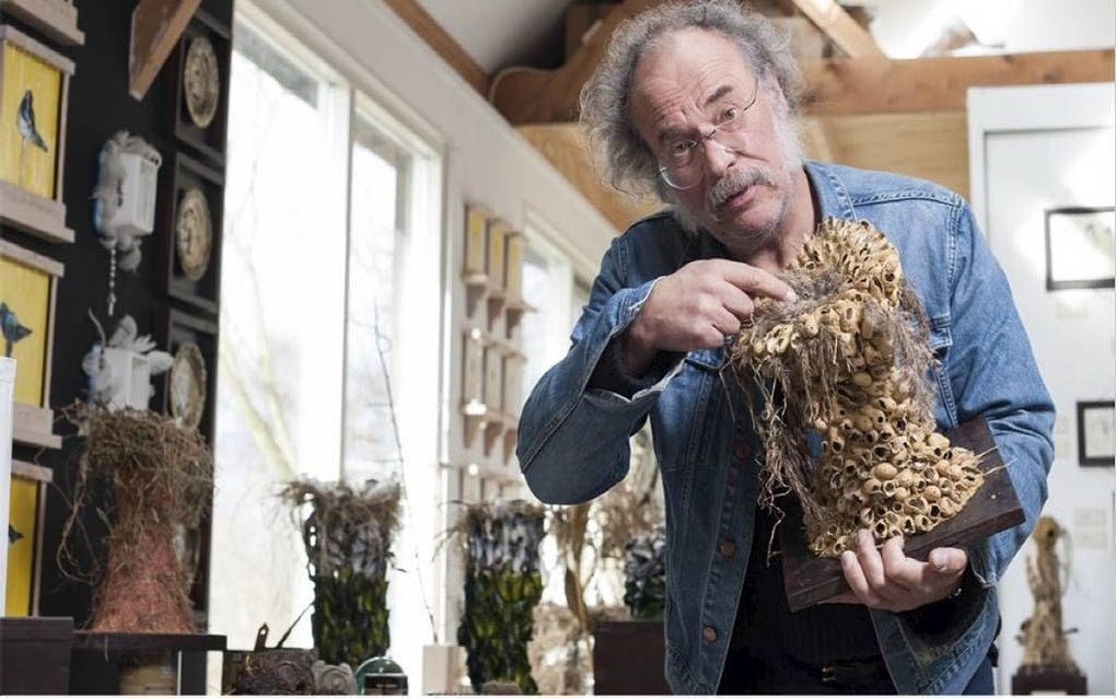 Onno Hooymeijer toont het nest van de Amerikaanse prairiekraak, gemaakt van doppinda’s. Meer van Hooymeijers maaksel zijn vanaf zaterdag te zien in Natuurmuseum Fryslân. Foto Natuurmuseum Fryslân