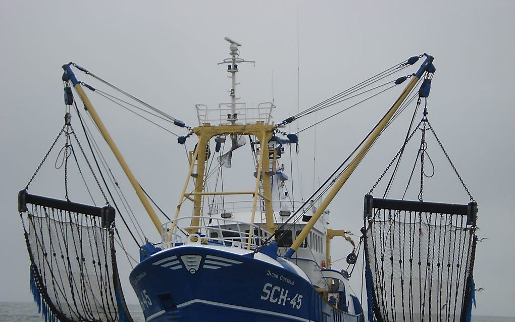 De SCH 45 is een van de kotters die met de pulstechniek op tong vissen. De omschakeling van boomkor naar puls (elektrisch vissen) is nagenoeg voltooid, aldus het LEI. beeld RD