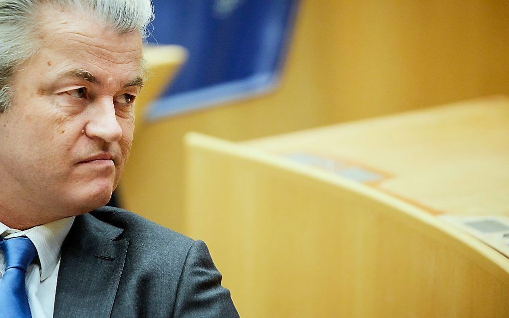 Wilders. Beeld ANP