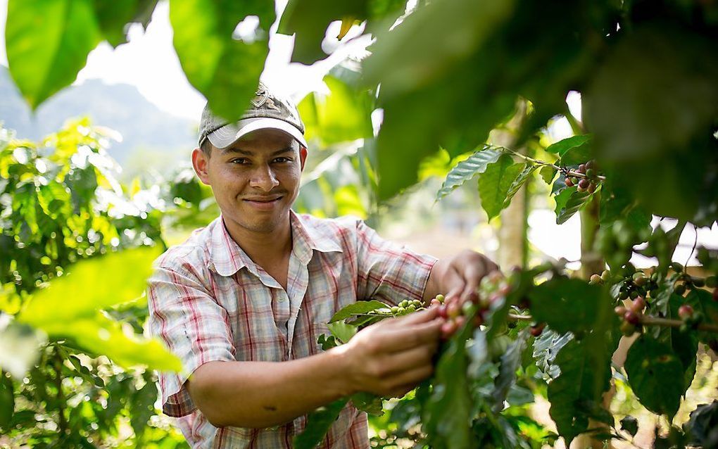 Een koffieboer in Nicaragua siert de omslag van het jaarverslag van Woord en Daad. beeld Woord en Daad