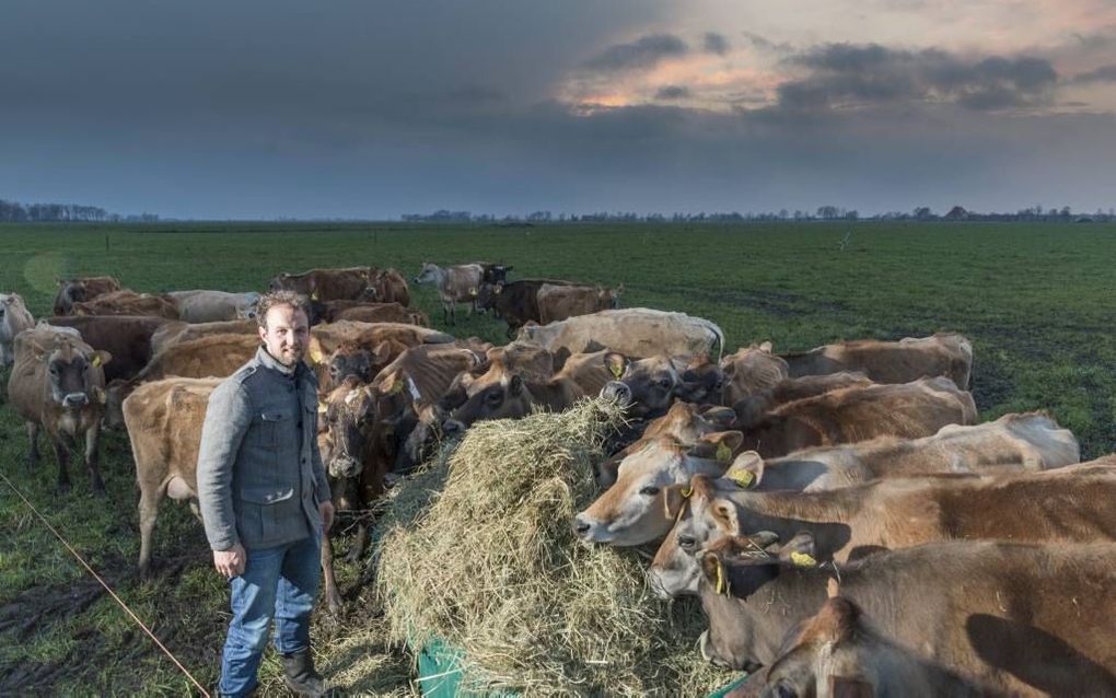 De jonge Friese veehouder Bartele Holtrop levert sinds 1 april biologische melk. beeld Sjaak Verboom