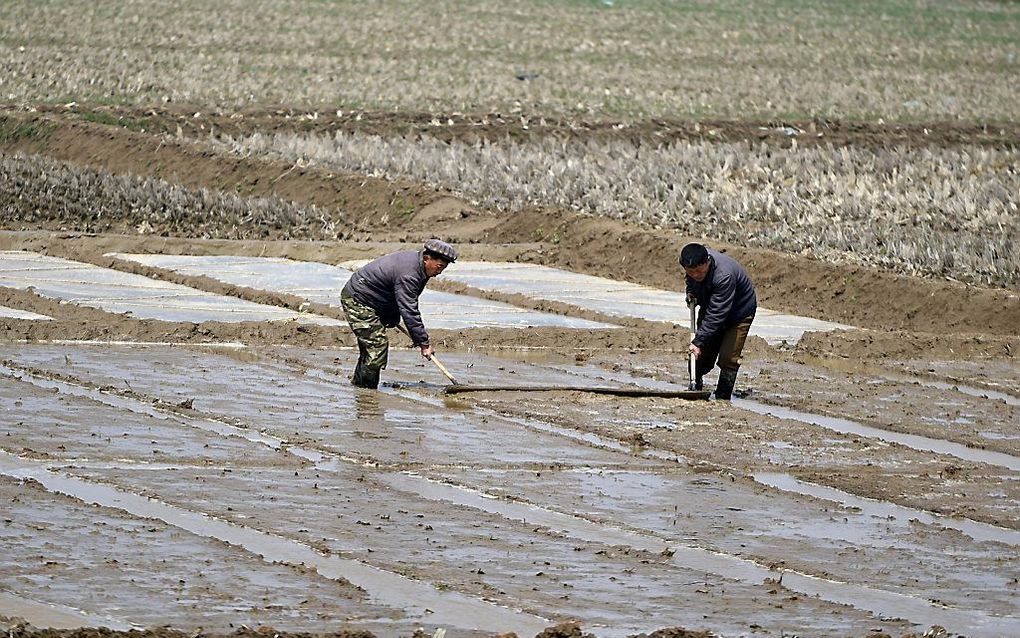 Nieuwe voedseltekorten dreigen voor Noord-Korea. EPA/FRANCK ROBICHON