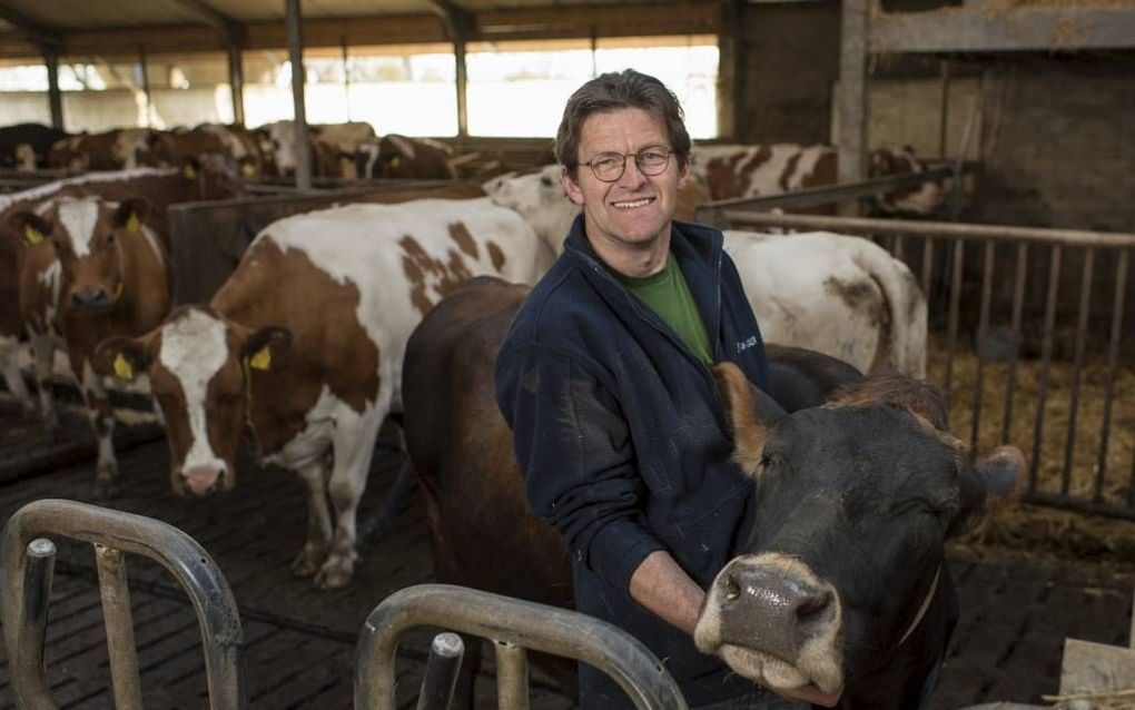 KOOTWIJKERBROEK. Melkveehouder Jan Vermeer is de knellende regelgeving in Nederland zat. Hij emigreert naar Duitsland. beeld Niek Stam