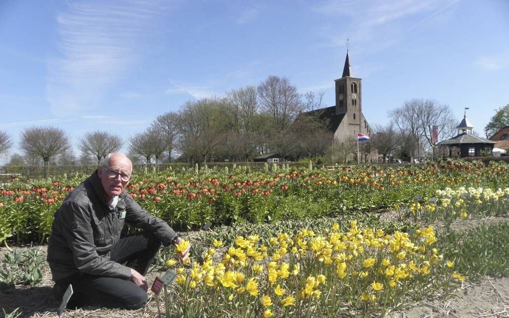 Max Nuyens, bestuurslid van Stichting Hortus Bulborum. beeld RD