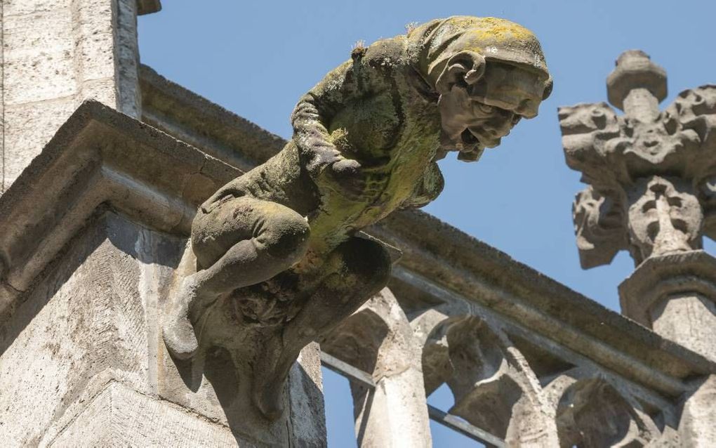 Waterspuwers aan de Domkerk zijn vormgegeven als monsters. Niet zozeer om kwade demomen te verdrijven maar als symbool van de „macht en kracht van de kerkelijke sacramenten tenoverstaan van het kwaad.” Foto: waterspuwer aan een steunbeur van de kloosterga