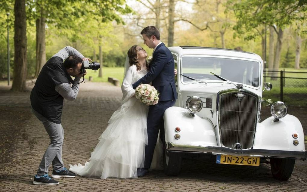 In het Dordtse Wantijpark. beeld Theo van Woerden