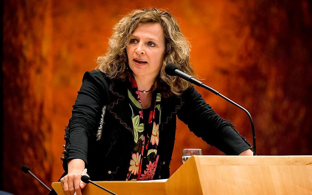 Minister Schippers van Volksgezondheid, Welzijn en Sport. beeld ANP