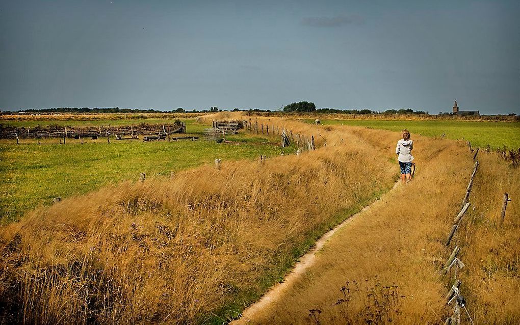 Texel. Beeld RD, Henk Visscher