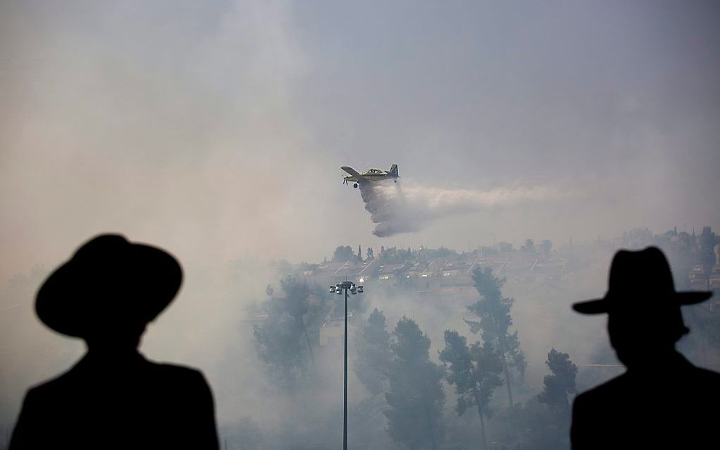 De wijk Ramot van Jeruzalem wordt bedreigd door een grote bosbrand. beeld EPA