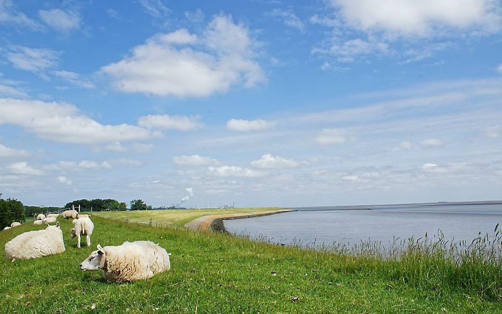 De dijk bij Delfzijl wordt aardbevingsbestendig gemaakt. beeld Hjalmar Guit