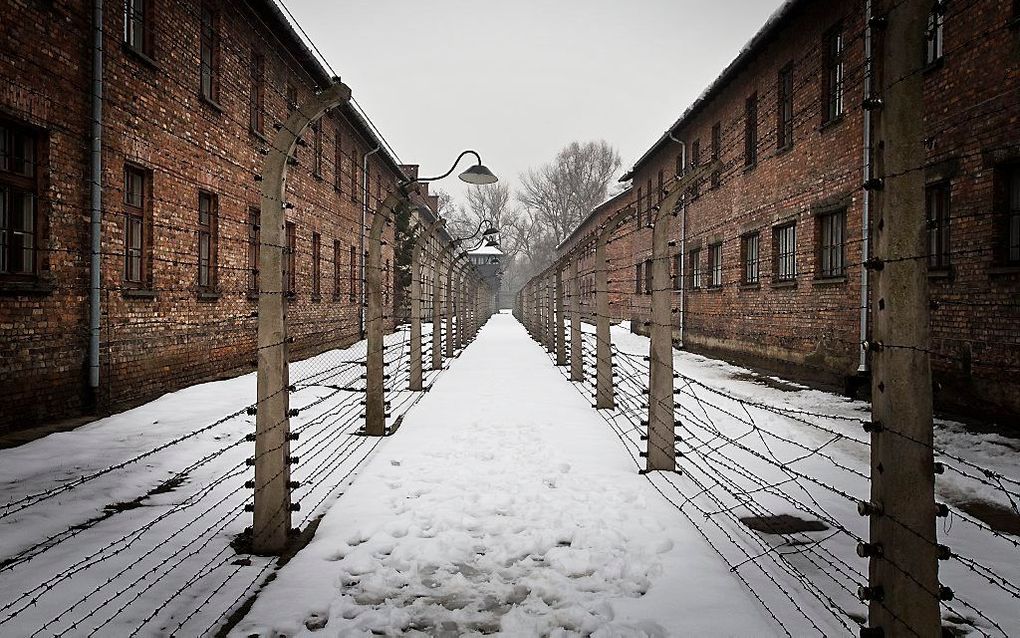 ROME/JERUZALEM. In de app store van Google is een spel opgedoken waarmee het leven als Jood in concentratiekamp Auschwitz kan worden nagespeeld. beeld RD, Henk Visscher