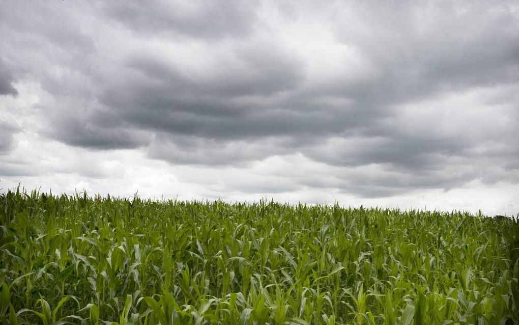 ”We zullen meer moeten openstaan voor mensen die anders zijn, mensen die laten zien dat ze op hun terrein beter zijn; mensen die weten hoe te winnen", foto RD, Henk Visscher