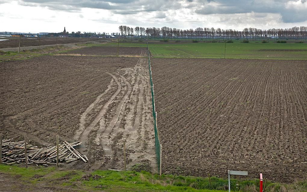 Hedwigepolder. beeld ANP