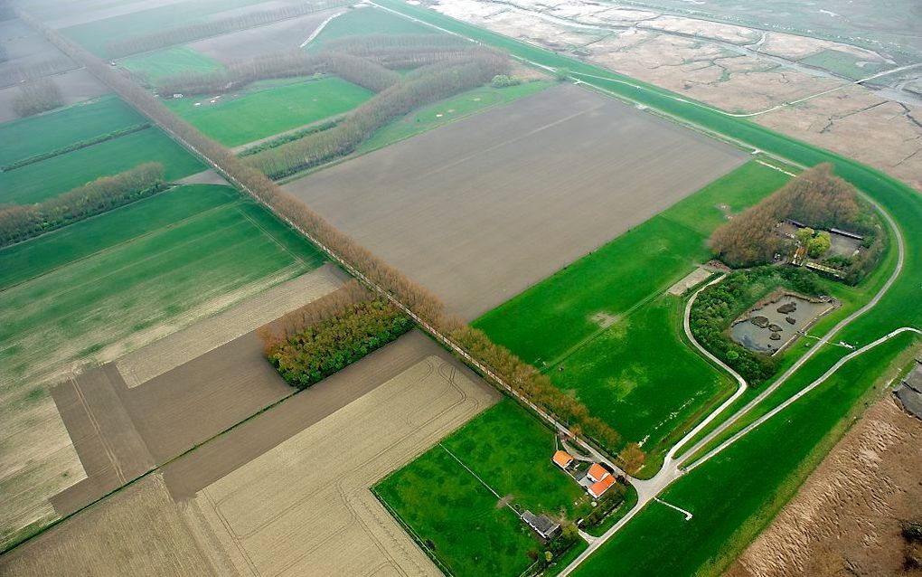 Hedwigepolder. Foto ANP