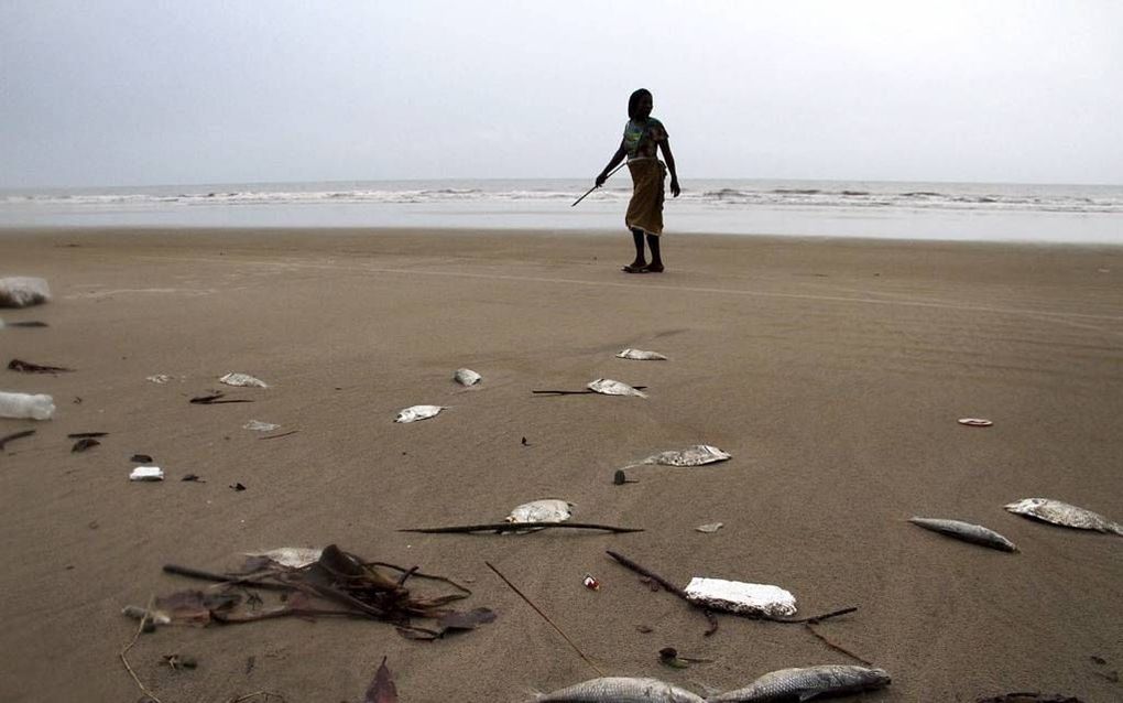 Honderden dode vissen op de kust van Nigeria, afgelopen januari. In december lekten 40.000 vaten olie weg bij het offshoreolieveld Bonga, 120 kilometer voor de kust van Nigeria. Foto EPA