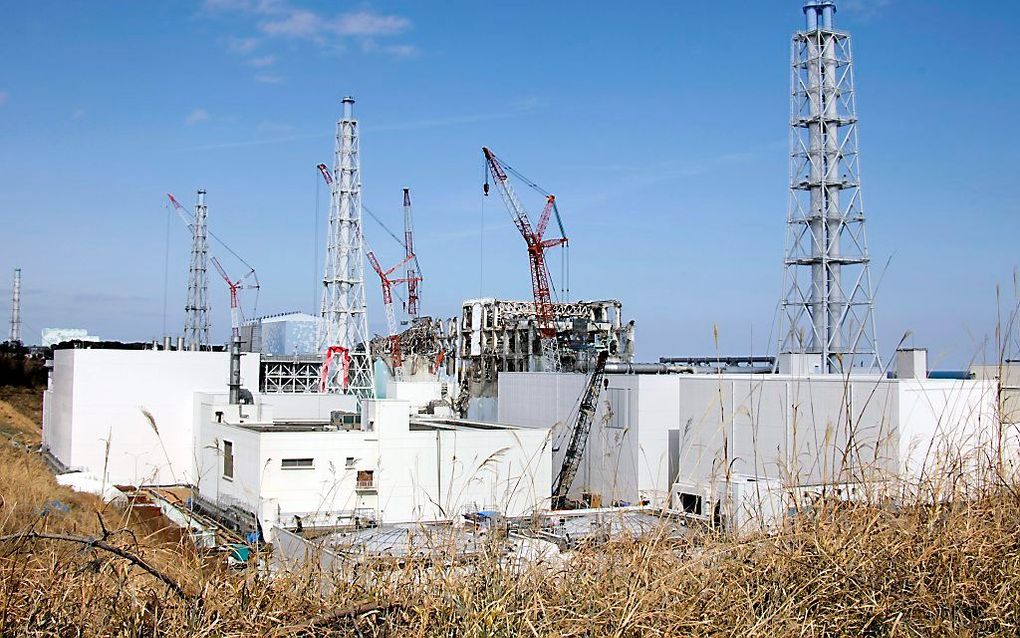 Fukushima, februari 2012. Foto EPA