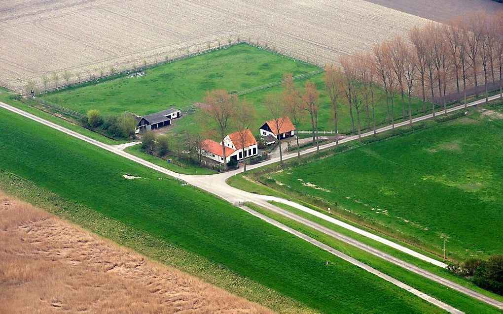 Hedwigepolder. Foto ANP