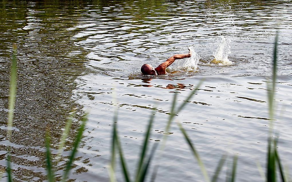 Zwemmer in de Rotte op de tweede warme zomerdag van 2012.   Foto ANP