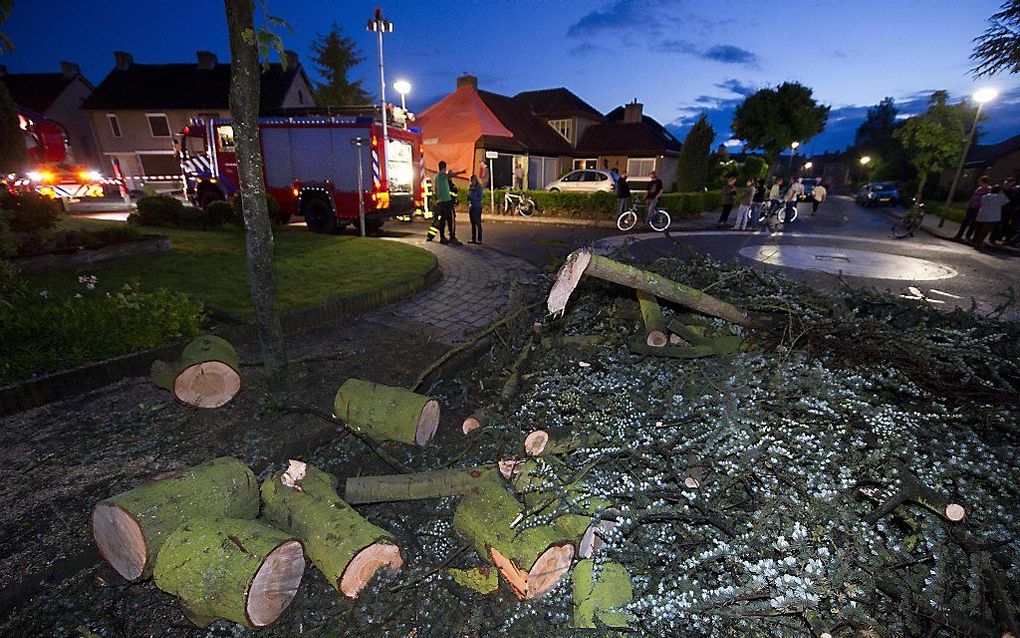 Een boom die geveld is door de windhoos in Montfort is door de brandweer in stukken gezaagd. Op verschillende plaatsen in het midden-Limburgse dorp zijn delen van daken van woningen afgewaaid. Foto ANP