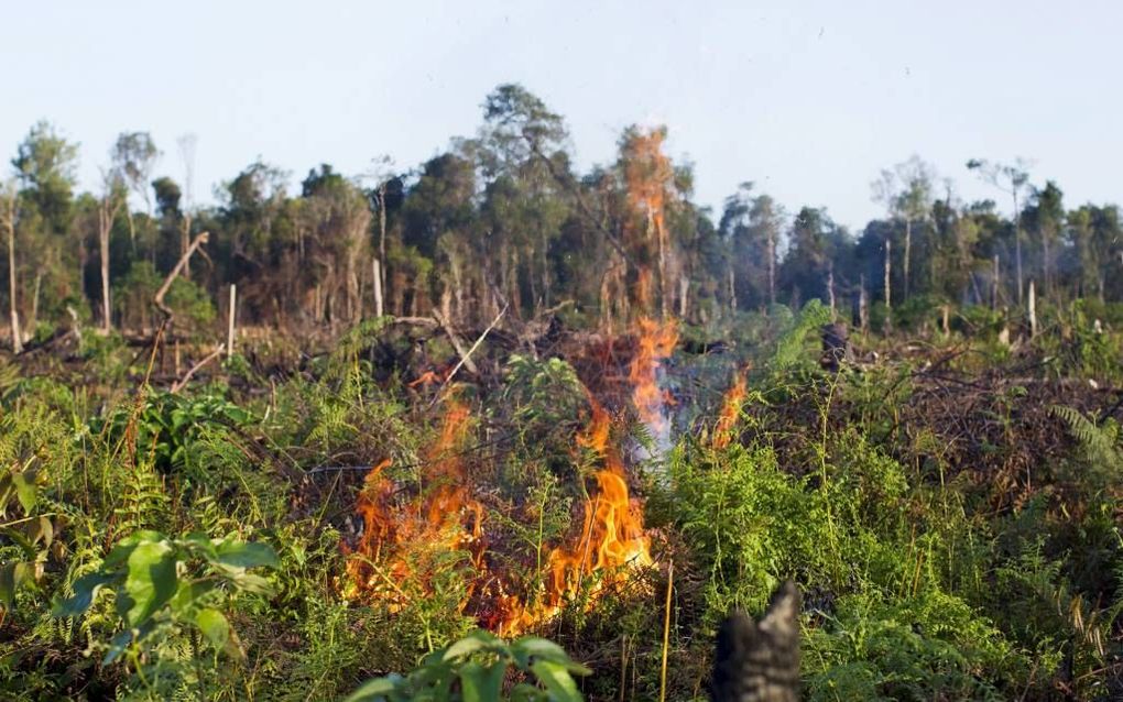 SUMATRA – De Noorse wetenschapper Jørgen Randers concludeert in zijn boek ”2052” dat de kortetermijnfocus van democratie en kapitalisme ertoe zal leiden dat de wereldbevolking niet bereid zal zijn de natuur voor zijn eigen bestwil te beschermen, met een v