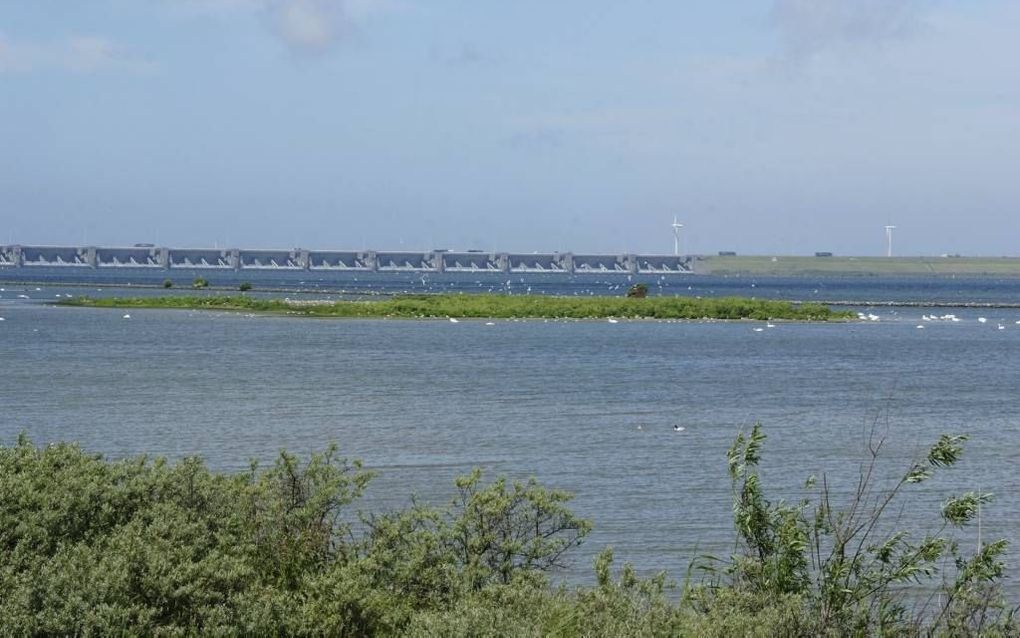 Een van de Scheelhoekeilanden naast de Plaat van Scheelhoek met de Haringvlietsluizen op de achtergrond. Foto Adri van der Laan