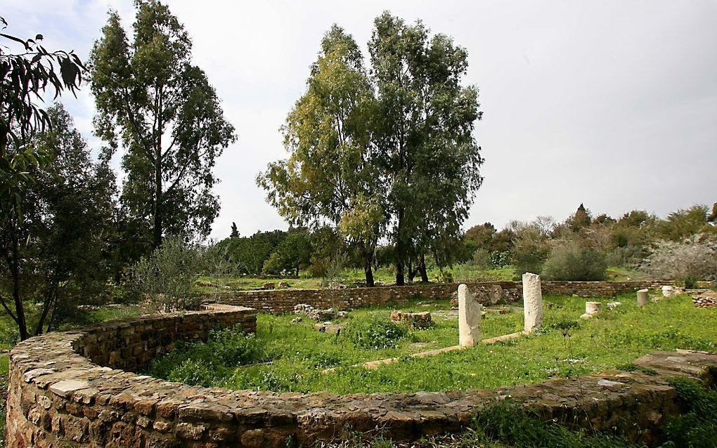 Een van de ruïnes van de monumentale kerken in Carthago. Foto RD, Anton Dommerholt