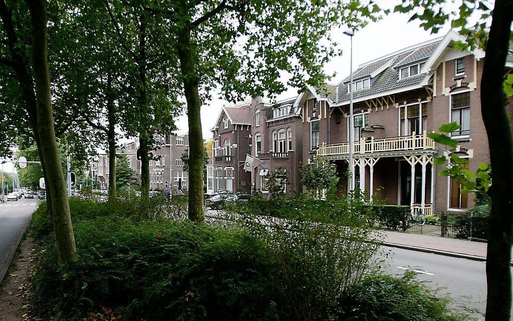 Bomen in de stad Arnhem. Foto ANP