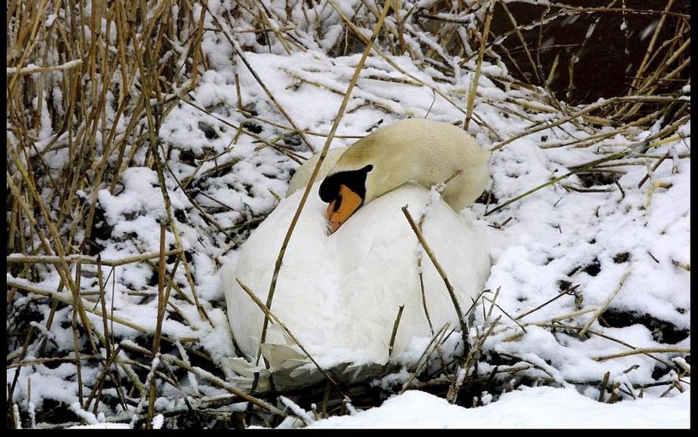 De kennis van predikanten over de natuur is dikwijls zeer beperkt, zo werd gezegd tijdens een workshop van Martine Vonk. Foto RD, Henk Visscher