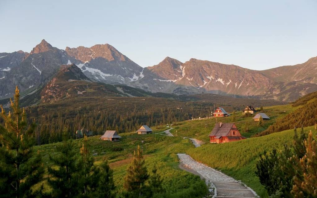 Rond Zakopane, dorpje aan de voet van het Tatragebergte, is het heerlijk wandelen. Foto Fotolia