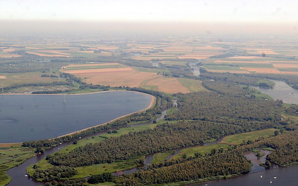 Biesbosch.    Foto ANP