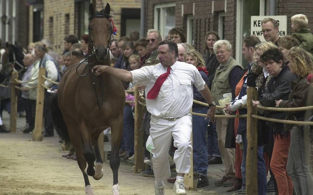 De eeuwenoude paardenmarkt van Ameide is gered. Foto William Hoogteyling