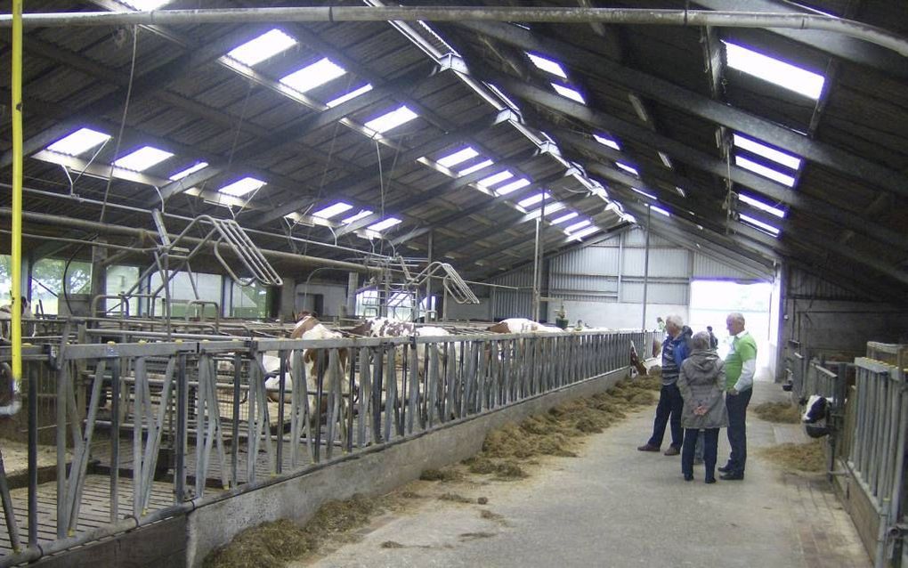 BENNEKOM – Boer Jan van Ginkel (r. met groen T-shirt) geeft bezoekers tijdens de Campina Open Boerderijdag uitleg over zijn melkveehouderij.	Foto RD