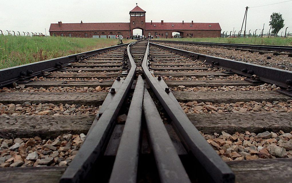 Auschwitz. beeld EPA