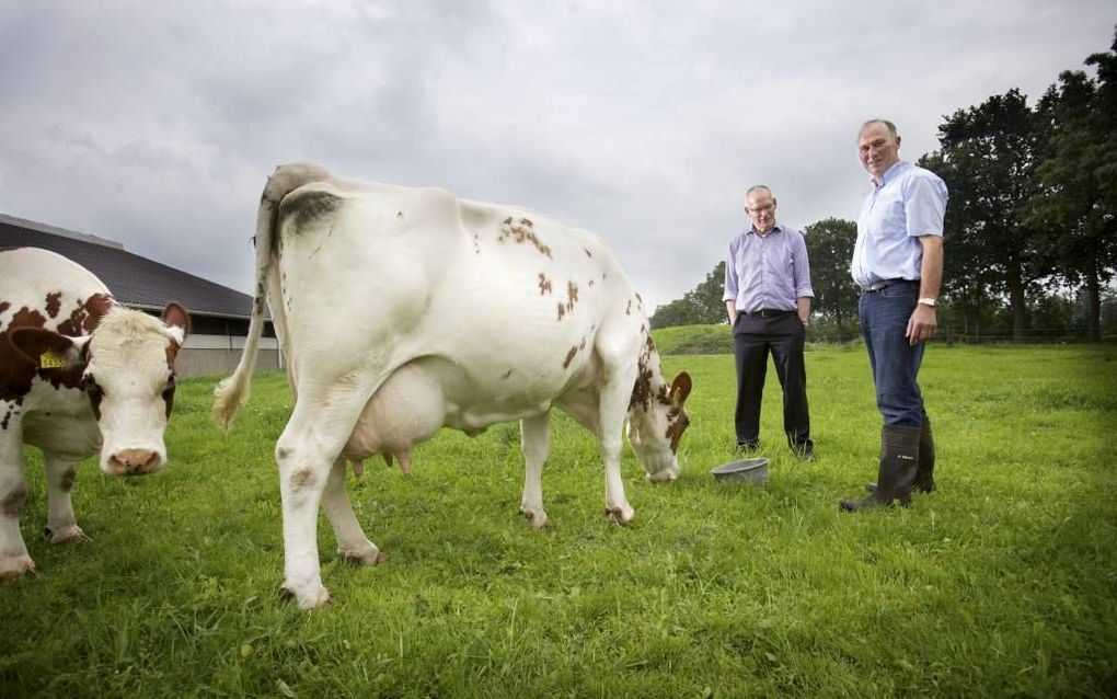 Wicher Hoeve (r.) levert melk aan CZ Rouveen Kaasspecialiteiten. „Als kleine speler moet je je onderscheiden”, zegt directeur Ben Wevers van deze coöperatie. De fabriek maakt geen alledaagse kaas, maar „verrassende producten.” Foto Sjaak Verboom