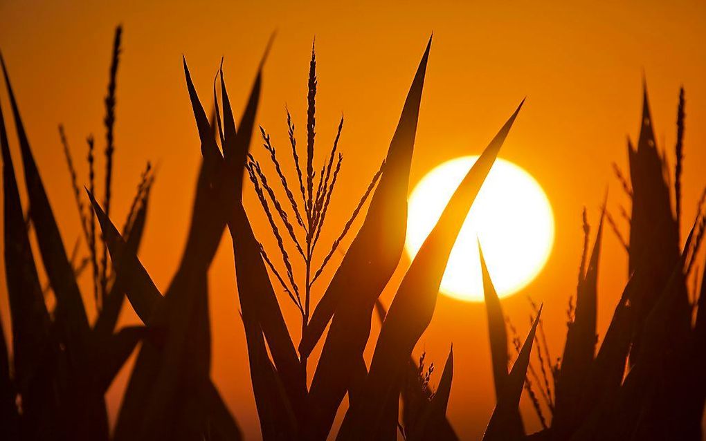 Eldorado, Illinois. Foto EPA