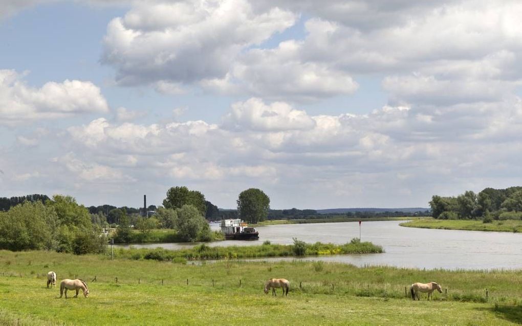 Rivier bij Wijk bij Duurstede. Foto RD, Anton Dommerholt