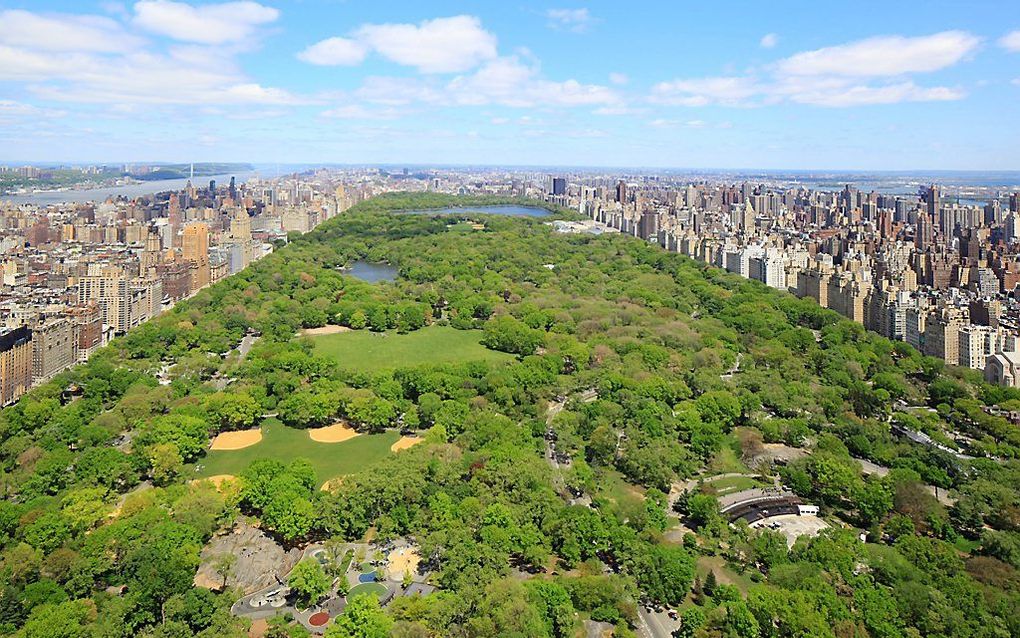 Central Park, New York. Foto EPA