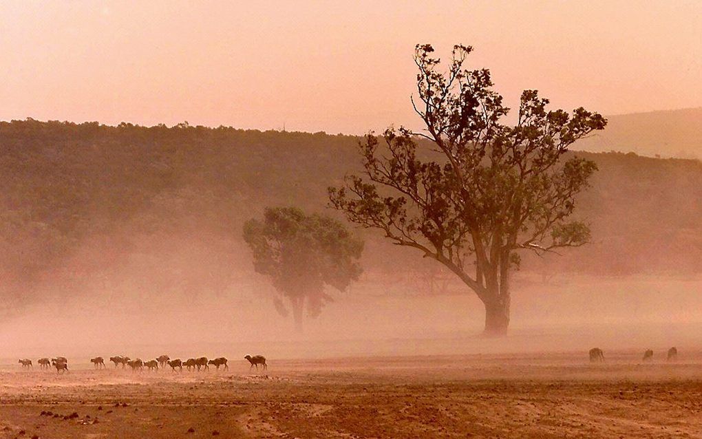 Australië. Foto EPA