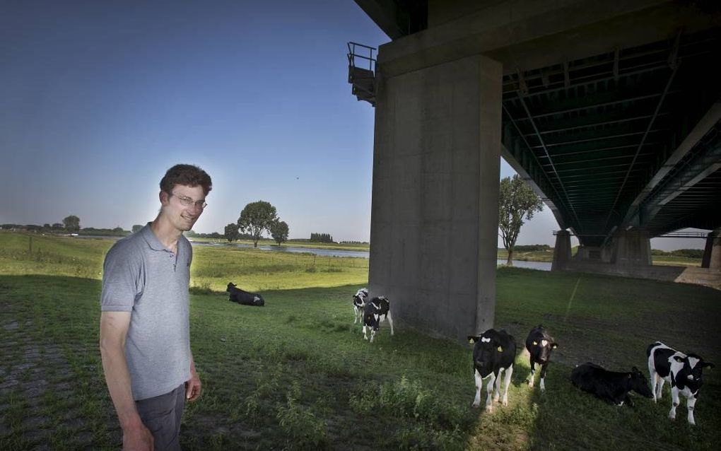 Jan Olieman bij zijn vee onder de brug bij Vianen. Foto RD, Henk Visscher