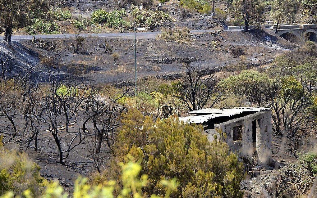 Spanje. Foto EPA