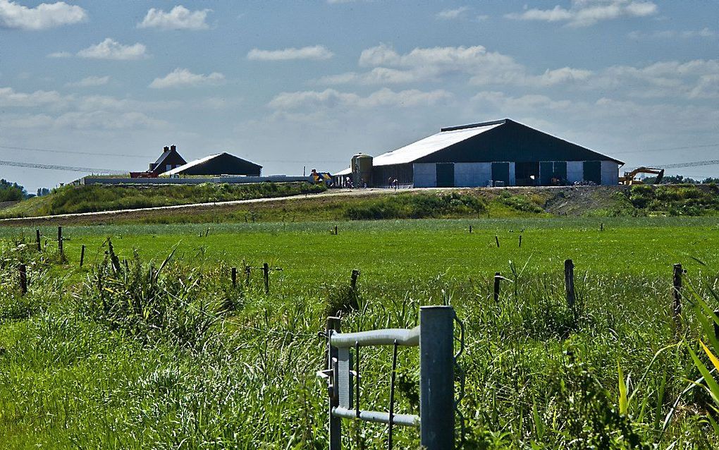 De terpboerderij van boer Broekmans. De boerderij is de eerste van in totaal acht nieuwe boerderijen die op een terp in de Overdiepse Polder komen te staan. Foto ANP