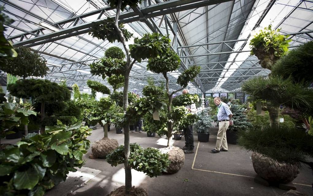 In Boskoop ging gisteren de dertigste editie van bomen- en plantenbeurs Plantarium van start. Plantarium is een beurs voor telers, hun afnemers en toeleveranciers, maar ook voor hoveniers en andere geïnteresseerden. Speciaal voor de laatsten opent Plantar