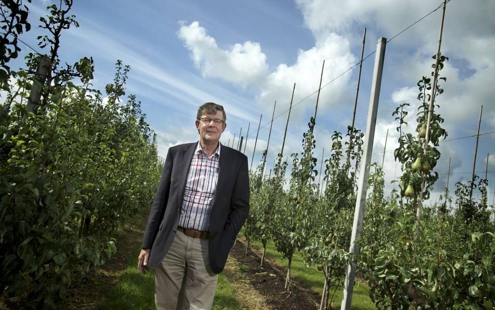 NEERIJNEN – Voorzitter Rien van Doorn van de raad van commissarissen van Fruitmasters stelt dat in de coöperatie het belang van de eigen telers voorop moet staan. Foto Sjaak Verboom